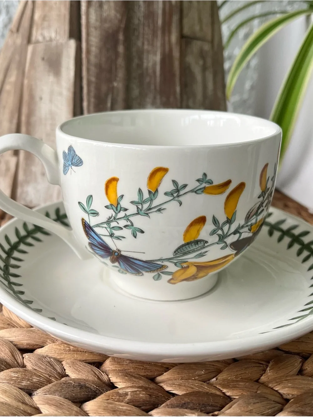 Portmeirion Botanic Garden cup and saucer SET Cytisus Scoparius / Broom